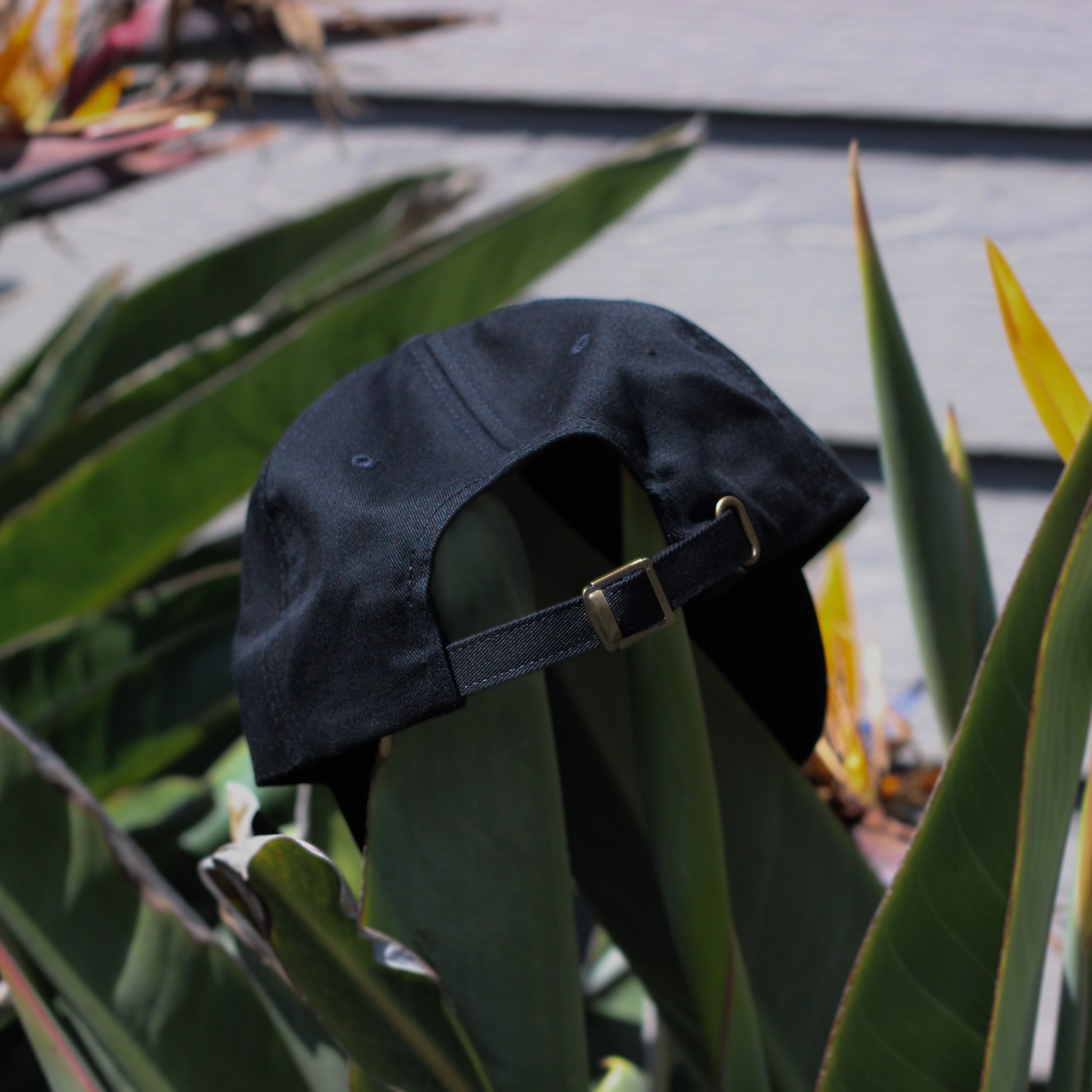 Firewire Clothing Slater Designs Pill Dad Hat cappellino nero taglia unica