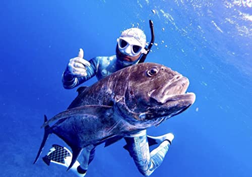 C4 Masks and Snorkels Plasma XL maschera apnea basso volume