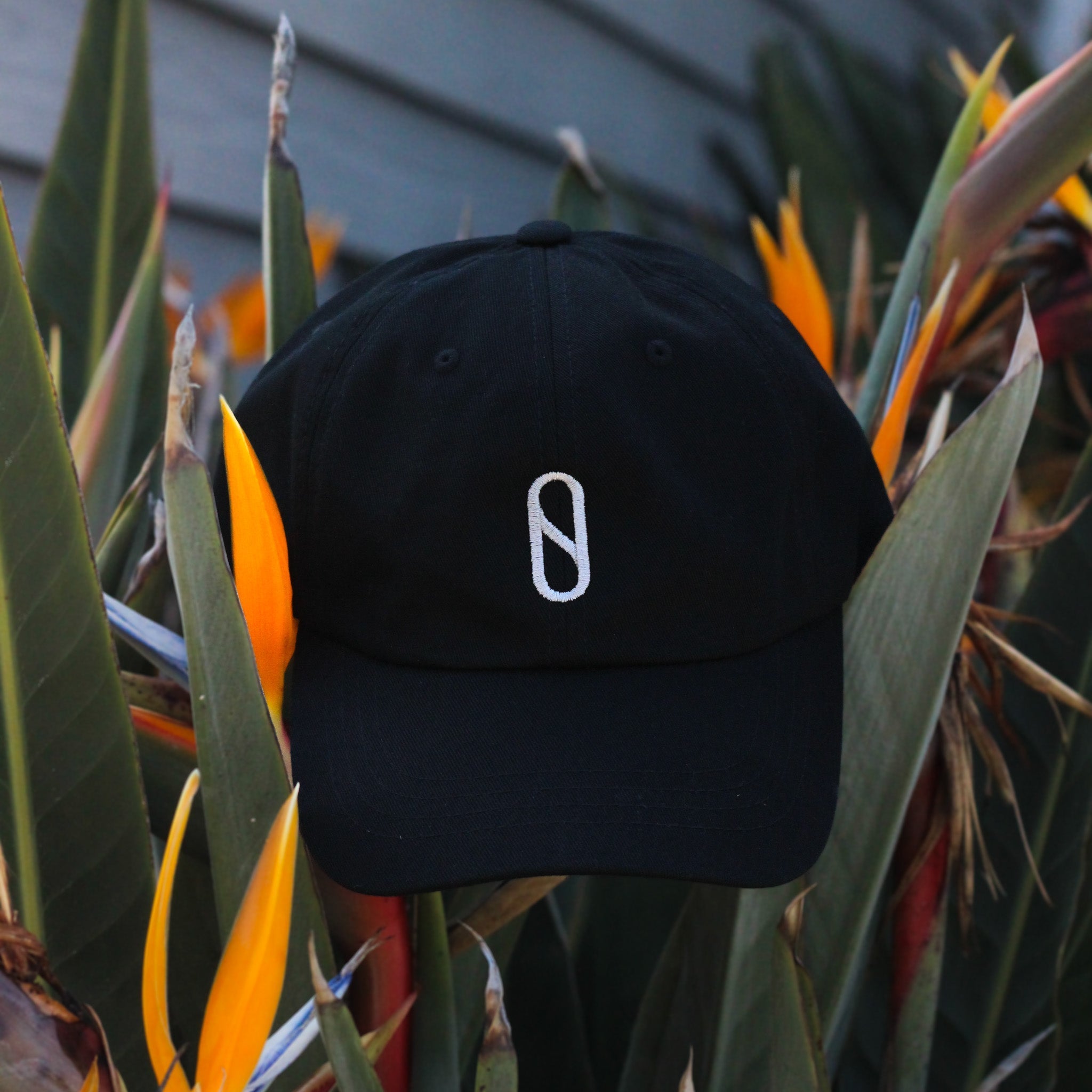 Firewire Clothing Slater Designs Pill Dad Hat cappellino nero taglia unica
