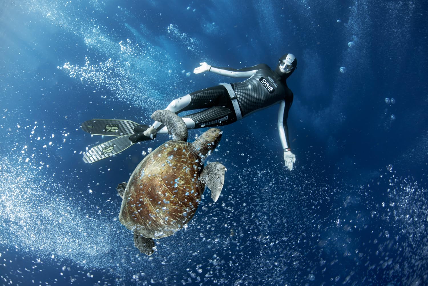 C4 Masks and Snorkels Falcon maschera subacquea apnea Silver antiappannamento volume ridotto