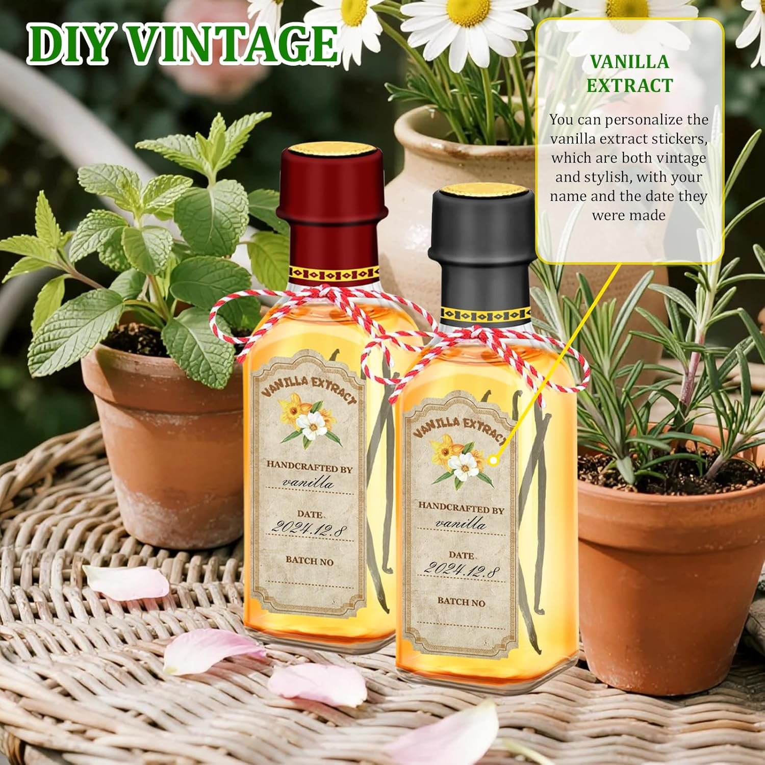 NEW-Vi Glass Bottles bottiglie per estratto di vaniglia 5 oz, 10 pezzi
