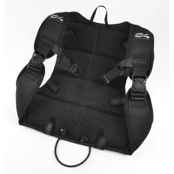C4 Belts and Weights schienalino 10 kg S/M imbottito
