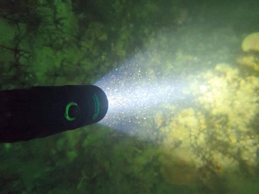 OrcaTorch Recreational Diving D710 torcia subacquea 3000 lumen nera 1 batteria