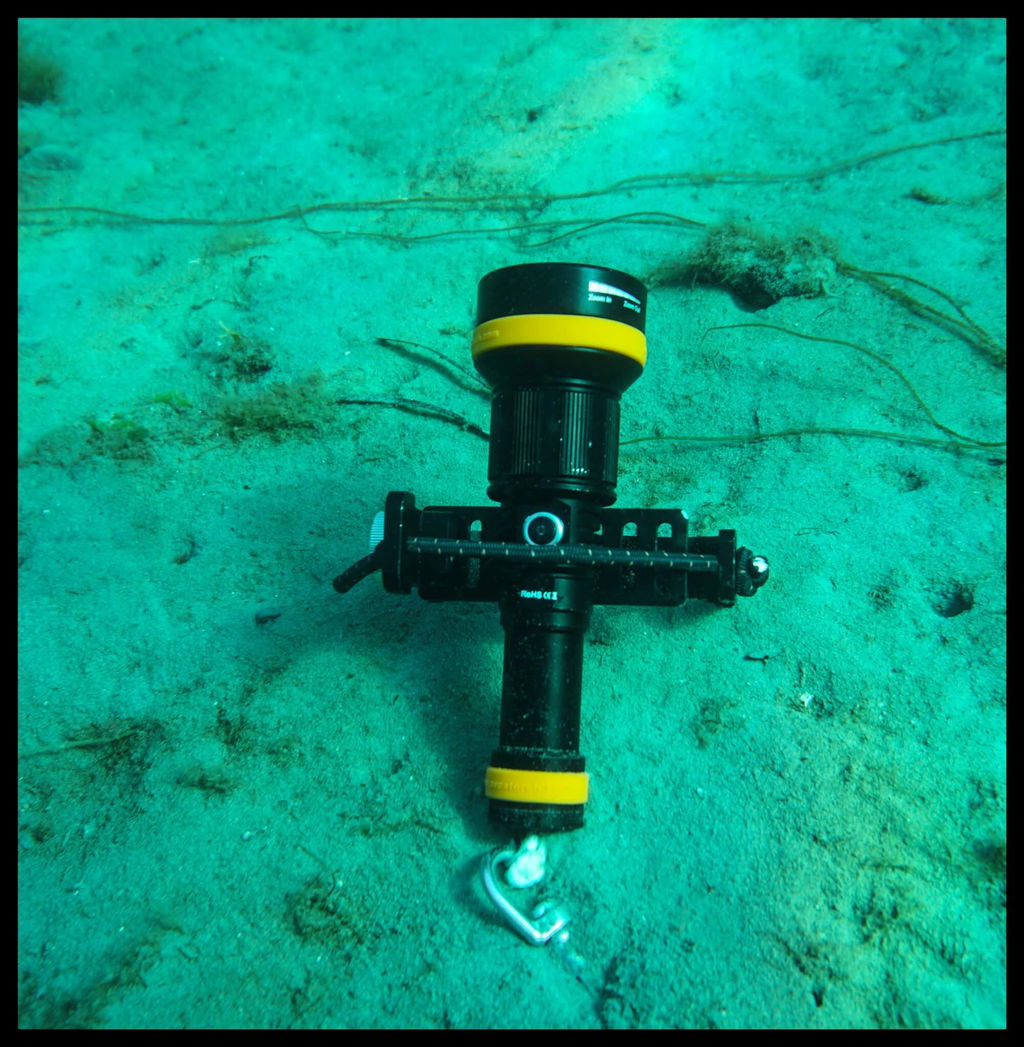 OrcaTorch Recreational Diving ZD710 MK2 torcia subacquea zoom
